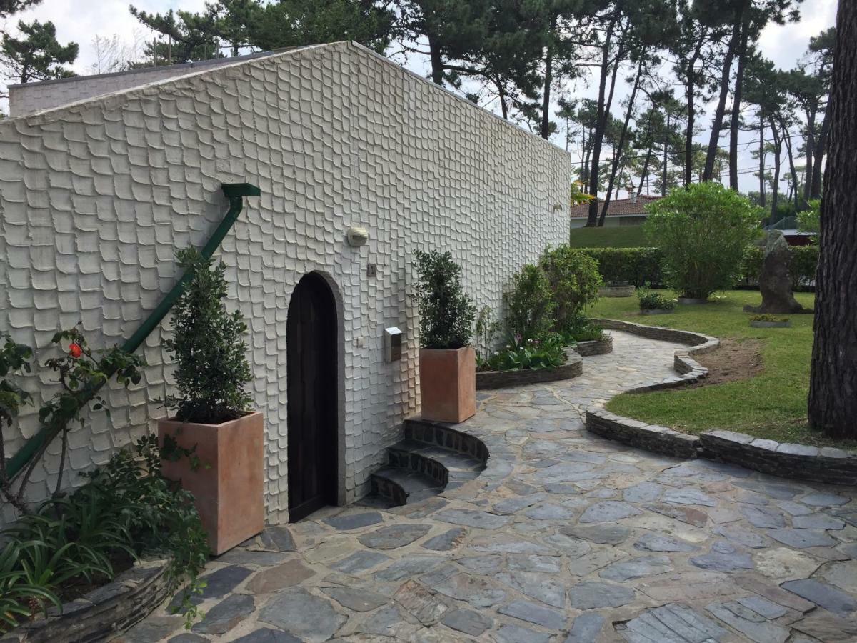 Ofir Beach House Bonanca Esposende Exterior photo